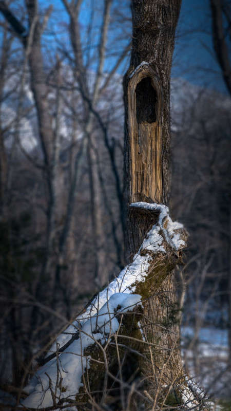 ������  (����������) ����� ������� ��������� �� PhotoGeek.ru #������ ��� �������