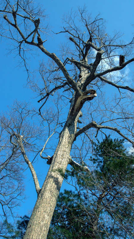 � �������... ����� ������� ��������� �� PhotoGeek.ru #������ ��� �������