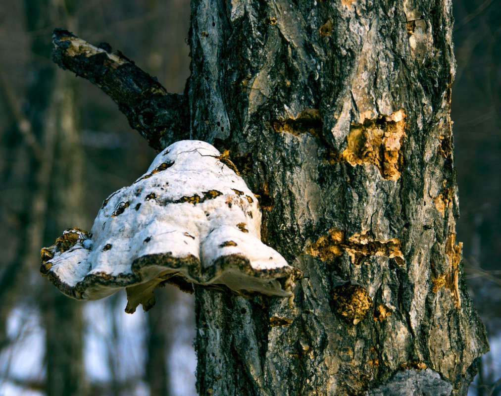 ������ ������ ����� ������� ��������� �� PhotoGeek.ru #������ ��� �������