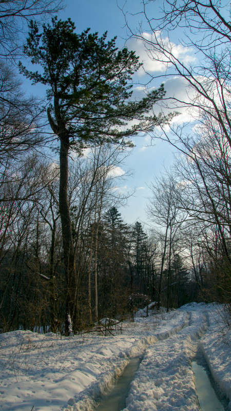 ����� � ������ ����� ������� ��������� �� PhotoGeek.ru #������ ��� �������