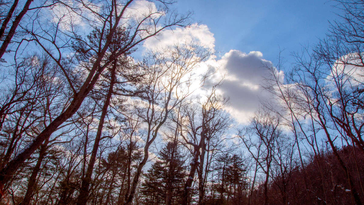 ��� ��� ����... ����� ������� ��������� �� PhotoGeek.ru #������ ��� �������