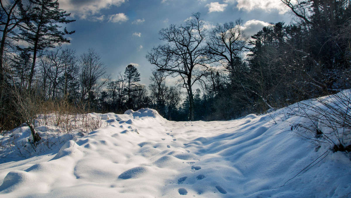 �����... ���? ����� ������� ��������� �� PhotoGeek.ru #������ ��� �������