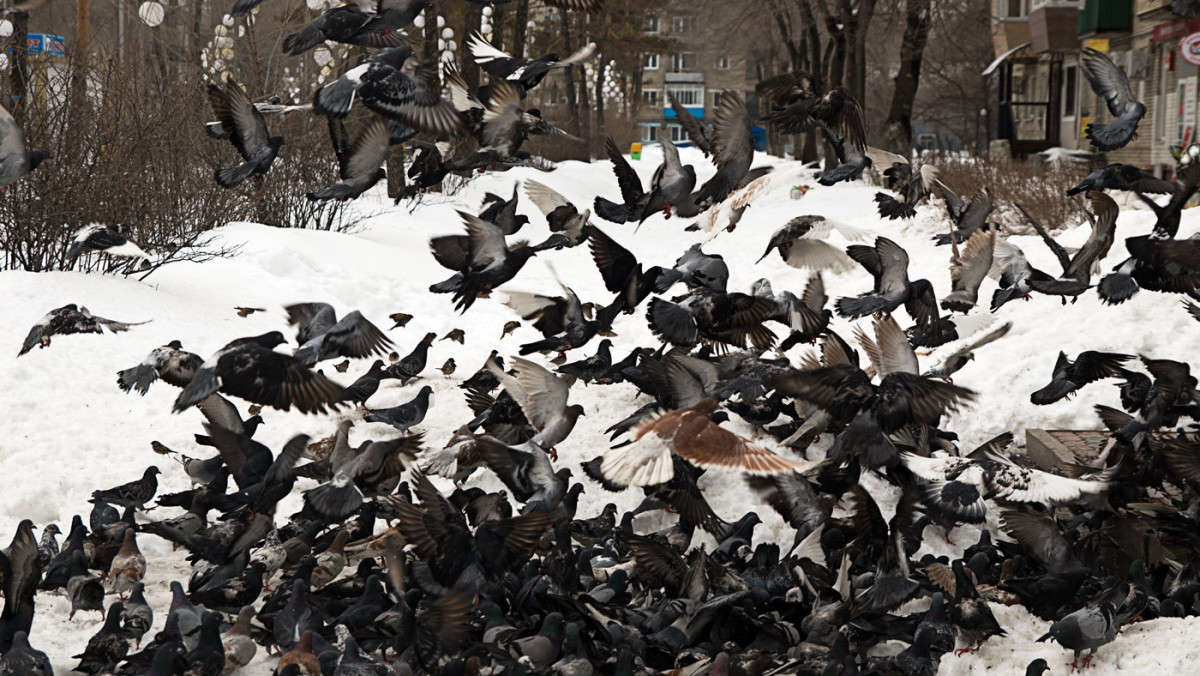 ������! ����� ����....! ����� ������� ��������� �� PhotoGeek.ru #�������� ���