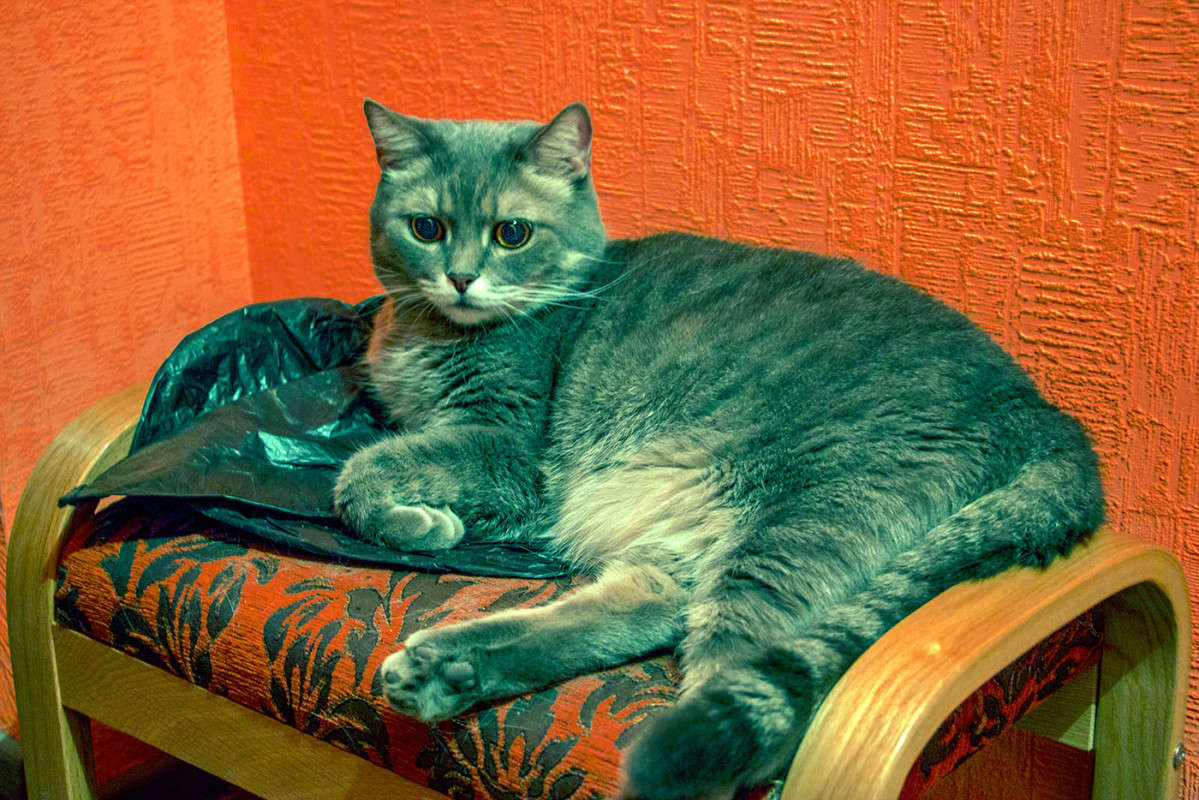 �������� ��, ������ �������� � �����... ����� ������� ��������� �� PhotoGeek.ru #�������� ���