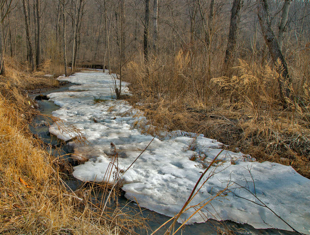 ����� ����� ������� ��������� �� PhotoGeek.ru #������ ��� �������