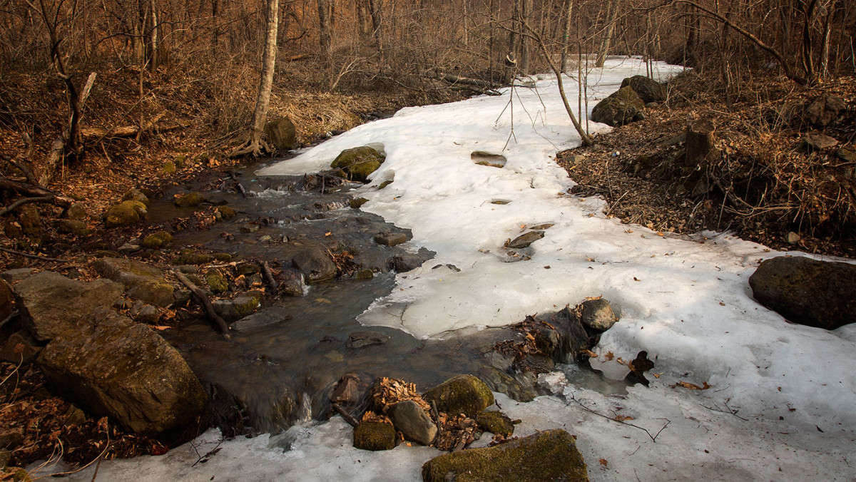 �������� ��������� ����� ������� ��������� �� PhotoGeek.ru #������ ��� �������