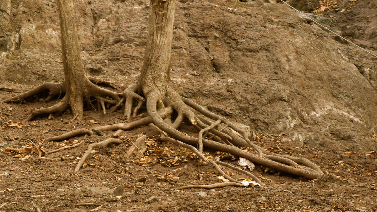 ����� �����... ����� ������� ��������� �� PhotoGeek.ru #������ ��� �������