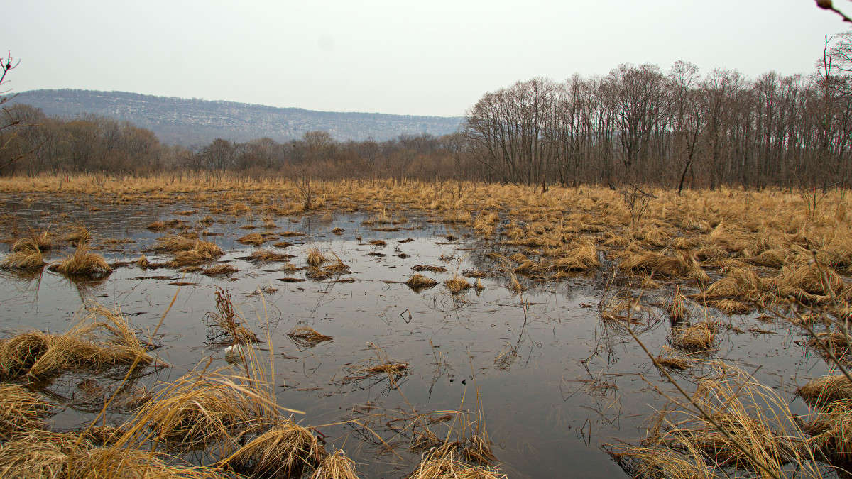 ������� ����� ������� ��������� �� PhotoGeek.ru #������ ��� �������