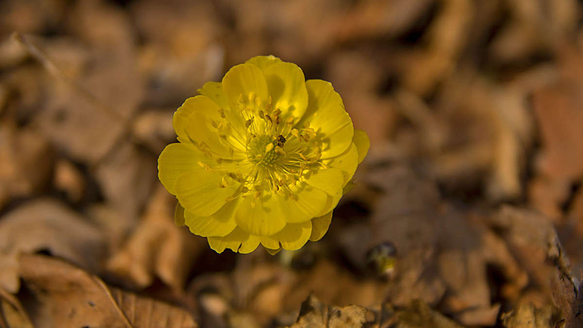 ���������� ����� ������� ��������� �� PhotoGeek.ru #������ ��� ������� #����� �������������� #����� ��������