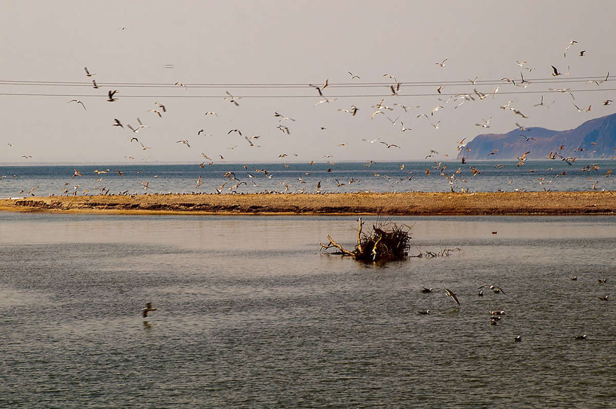 ���������� ��������))) ����� ������� ��������� �� PhotoGeek.ru #�������� ��� #������ ��� ������� #����� ��������