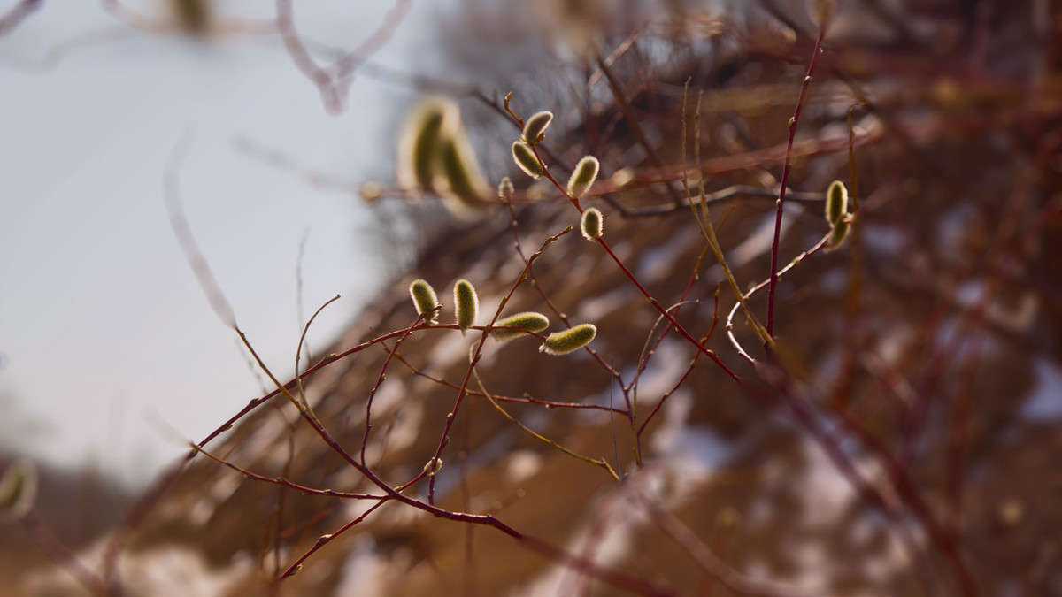 �����, �����... ����� ������� ��������� �� PhotoGeek.ru #������ ��� ������� #����� �������������� #���������