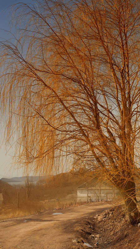 �������� ������ ����� ������� ��������� �� PhotoGeek.ru #������ ��� ������� #����� ��������������