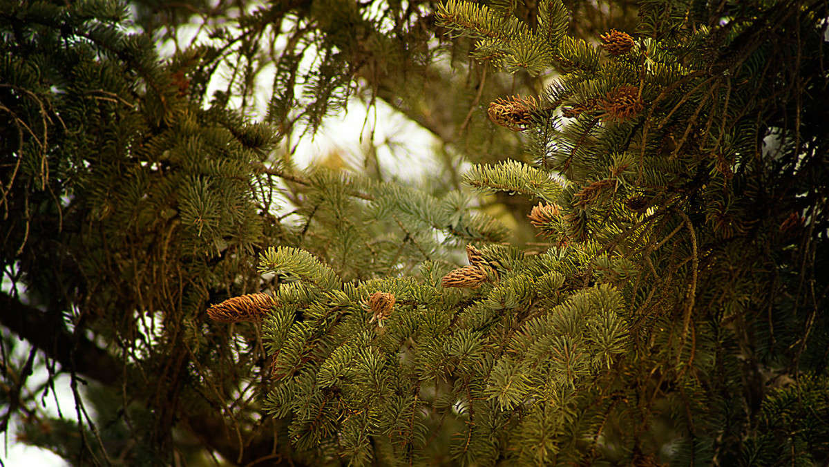 ���� ������� ����� ������� ��������� �� PhotoGeek.ru #������ ��� ������� #����� ��������������