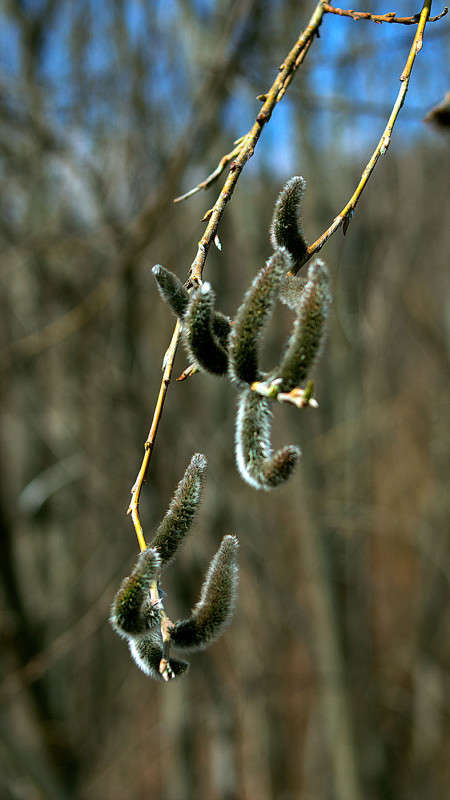 ��������))) ����� ������� ��������� �� PhotoGeek.ru #������ ��� ������� #����� ��������������