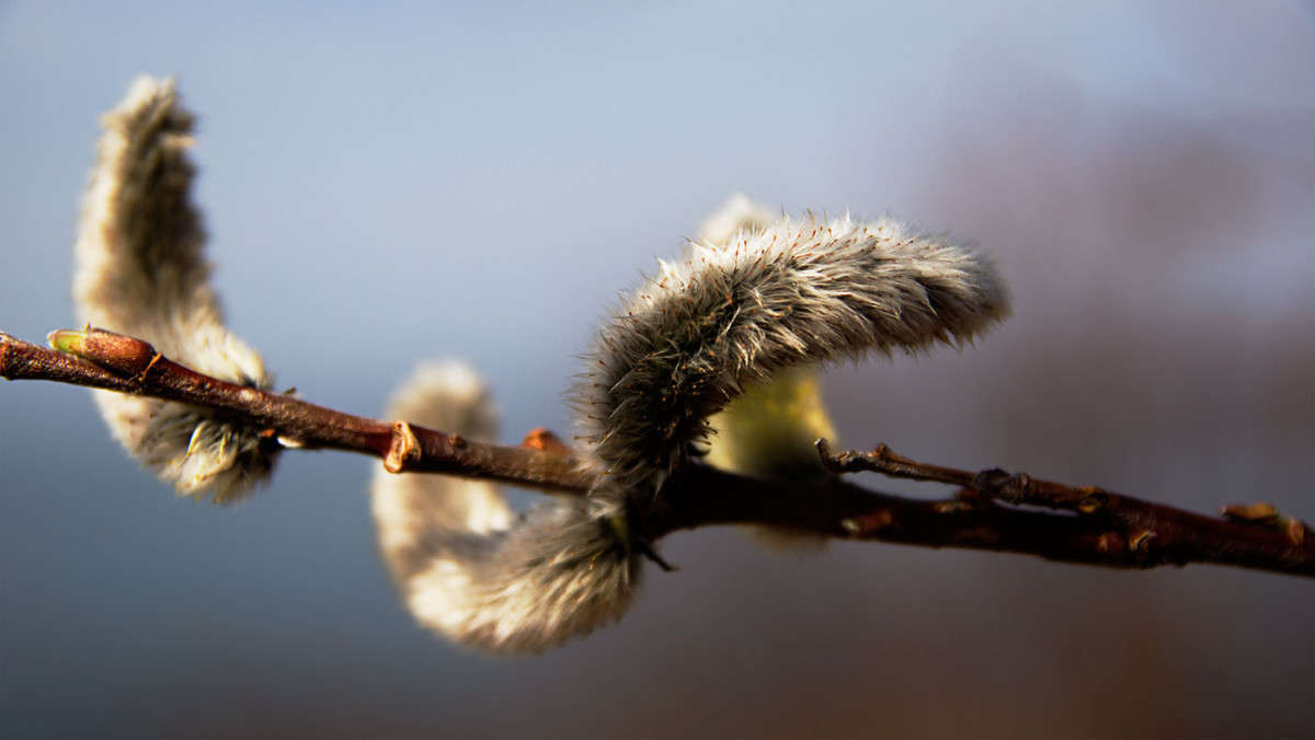 ����� ����� ������� ��������� �� PhotoGeek.ru #������ ��� ������� #����� ��������������