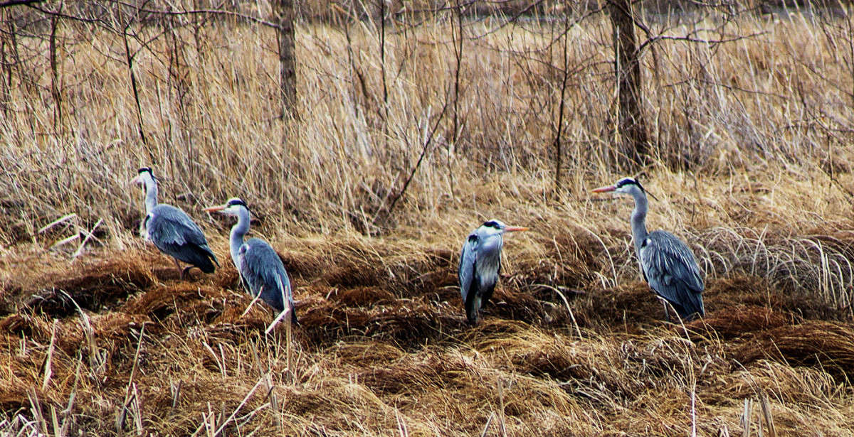 �� �������))) ����� ������� ��������� �� PhotoGeek.ru #�������� ��� #������ ��� �������