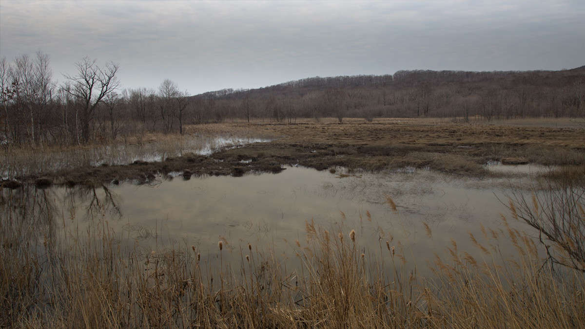 **** ����� ������� ��������� �� PhotoGeek.ru #������ ��� �������