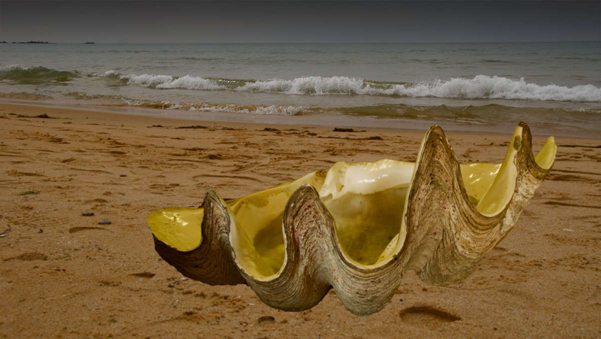 ���� ����... ����� ������� ��������� �� PhotoGeek.ru #������ ��� ������� #������