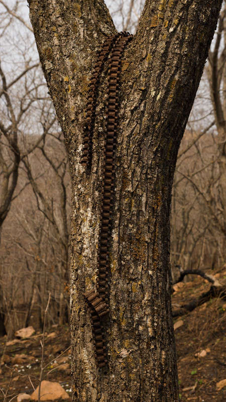 ������� ��������� ����� ������� ��������� �� PhotoGeek.ru #������ ��� �������