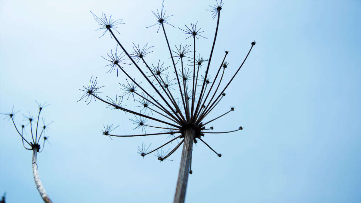 *** ����� ������� ��������� �� PhotoGeek.ru #������ ��� ������� #����� ��������������