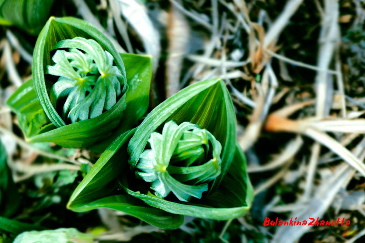 ���������� ����� ������� ��������� �� PhotoGeek.ru #������ ��� ������� #����� ��������������