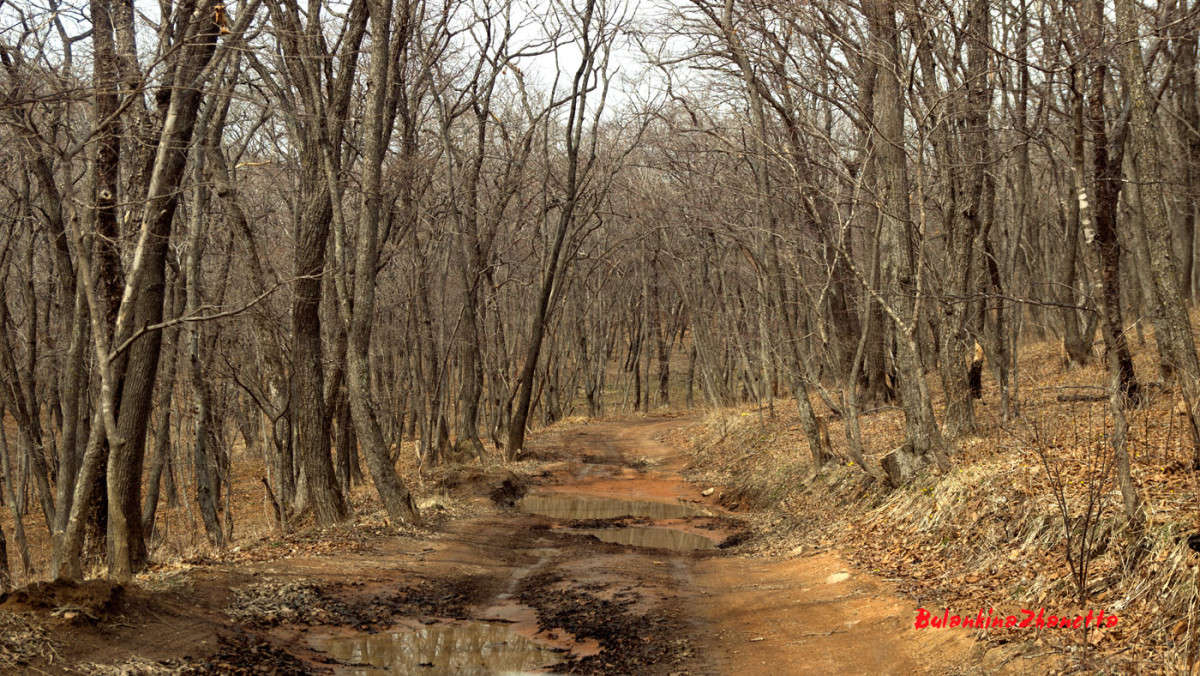 ������ � ���� ����� ������� ��������� �� PhotoGeek.ru #������ ��� �������