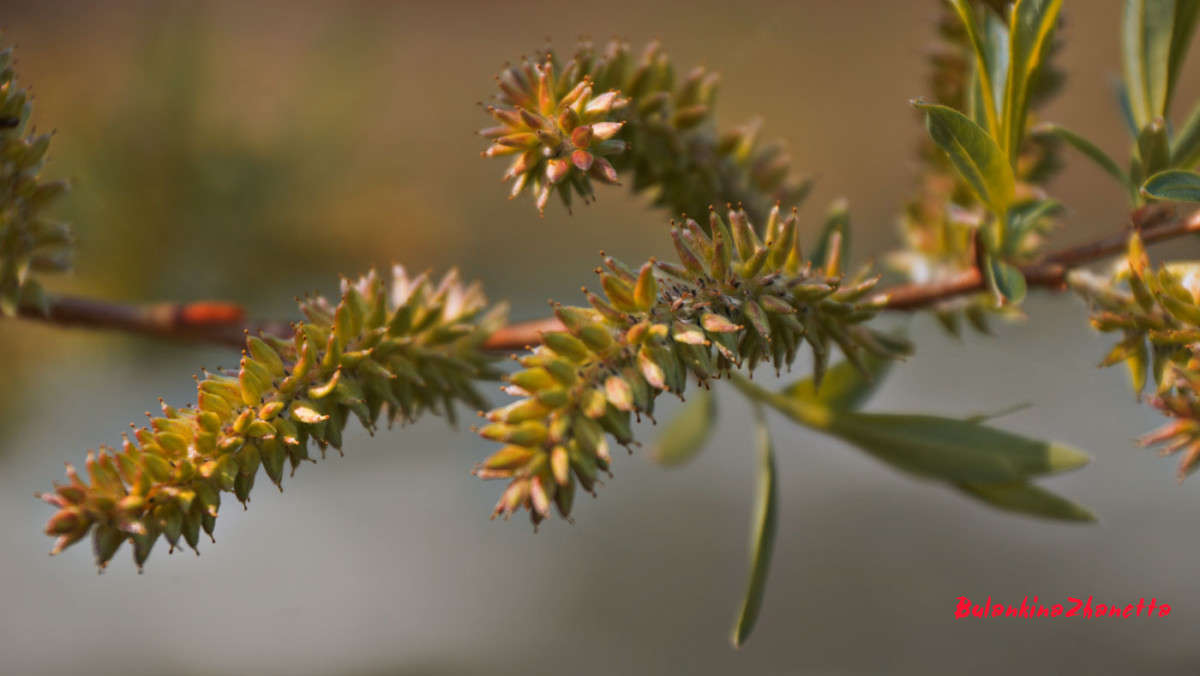 ����� ����� ������� ��������� �� PhotoGeek.ru #������ ��� ������� #����� ��������������