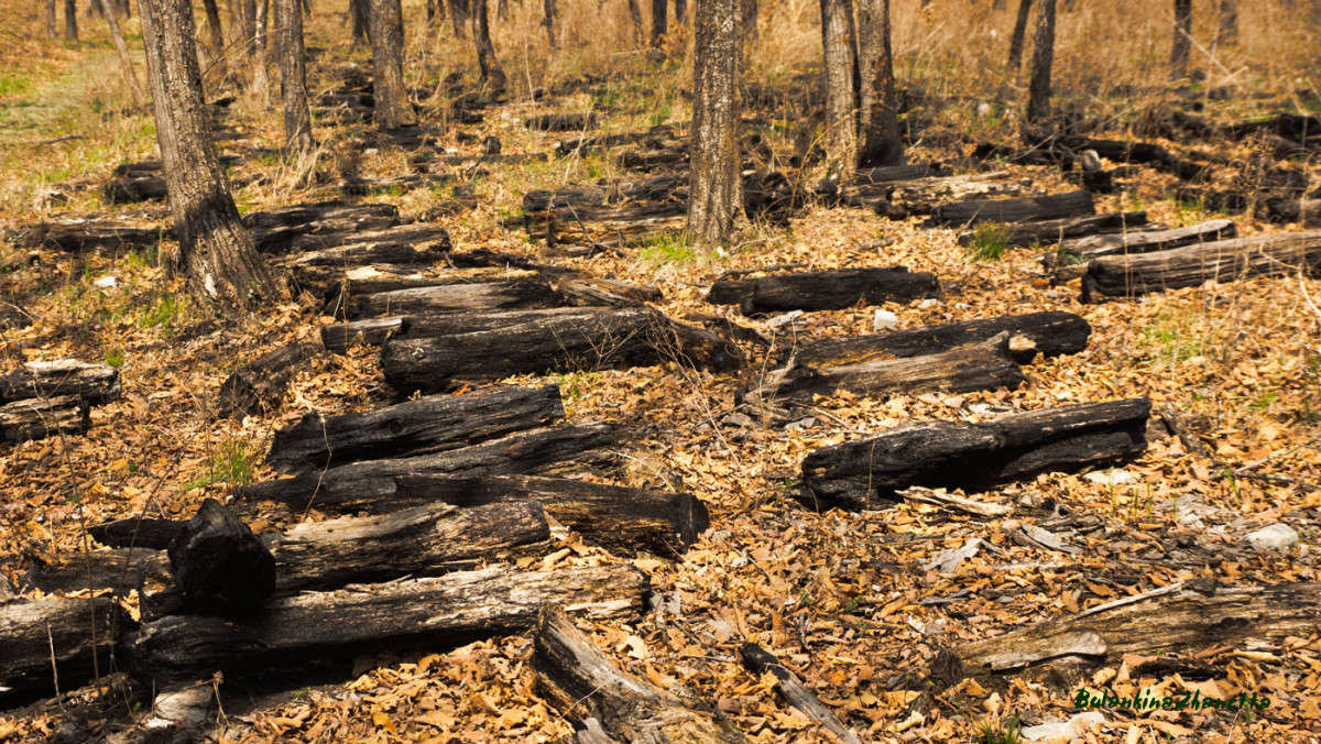 ������, ������...�����, �����... ����� ������� ��������� �� PhotoGeek.ru #������ ��� ������� #���������