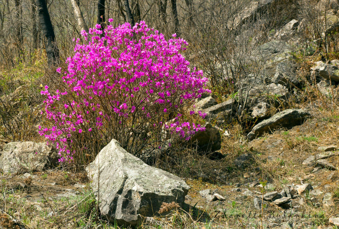 ���� �����... ����� ������� ��������� �� PhotoGeek.ru #������ ��� ������� #����� ��������������