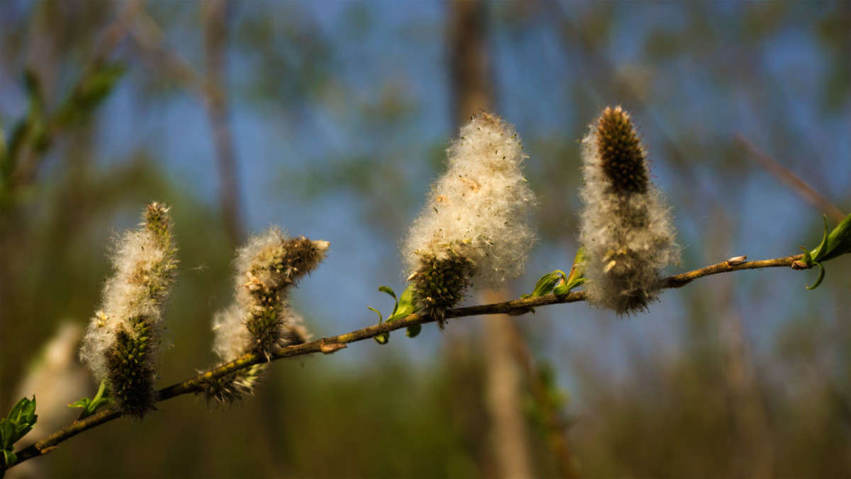 �� ��������... ����� ������� ��������� �� PhotoGeek.ru #������ ��� ������� #����� ��������������