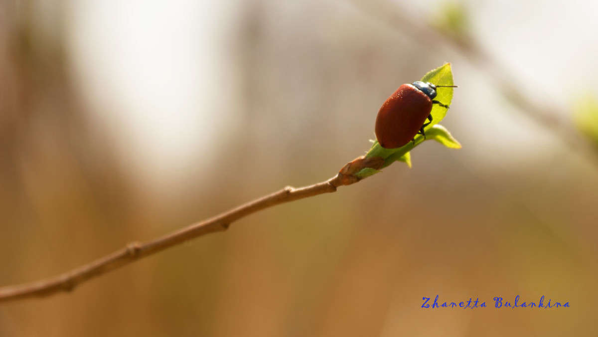 ����� �� ��������... ����� ������� ��������� �� PhotoGeek.ru #�������� ��� #������ ��� ������� #����� ��������