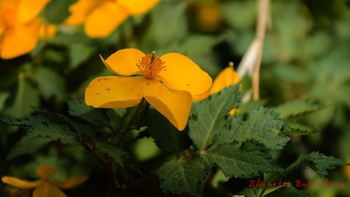 *** ����� ������� ��������� �� PhotoGeek.ru #������ ��� ������� #����� �������������� #���������