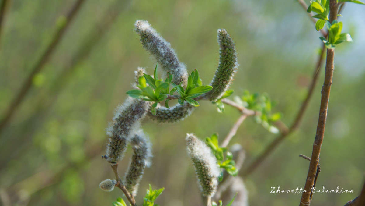 *** ����� ������� ��������� �� PhotoGeek.ru #������ ��� ������� #����� ��������������