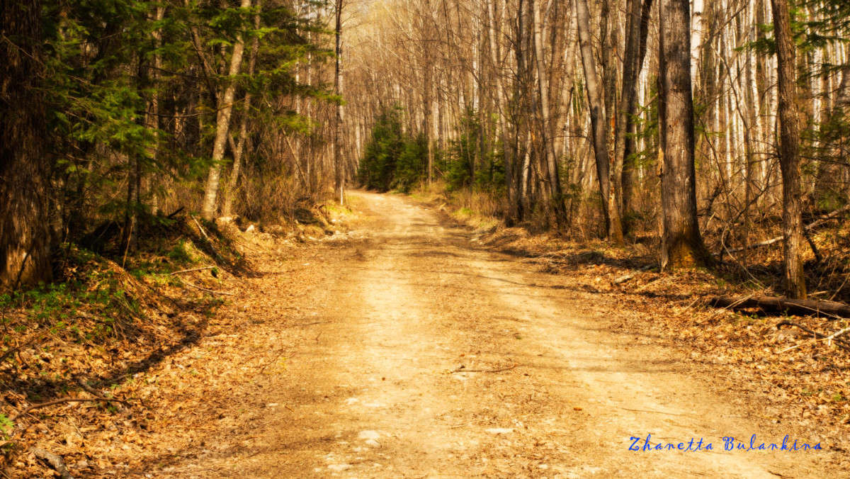 ���������� ����� 1 ����� ������� ��������� �� PhotoGeek.ru #������ ��� �������