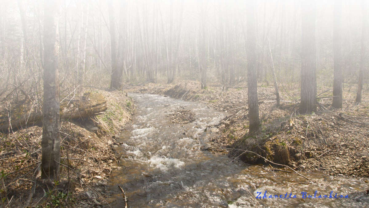 ������� ���� ����� ������� ��������� �� PhotoGeek.ru #������ ��� �������