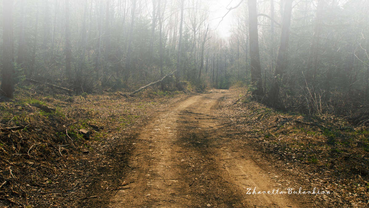 ���������� ����� ����� ������� ��������� �� PhotoGeek.ru #������ ��� ������� #���������