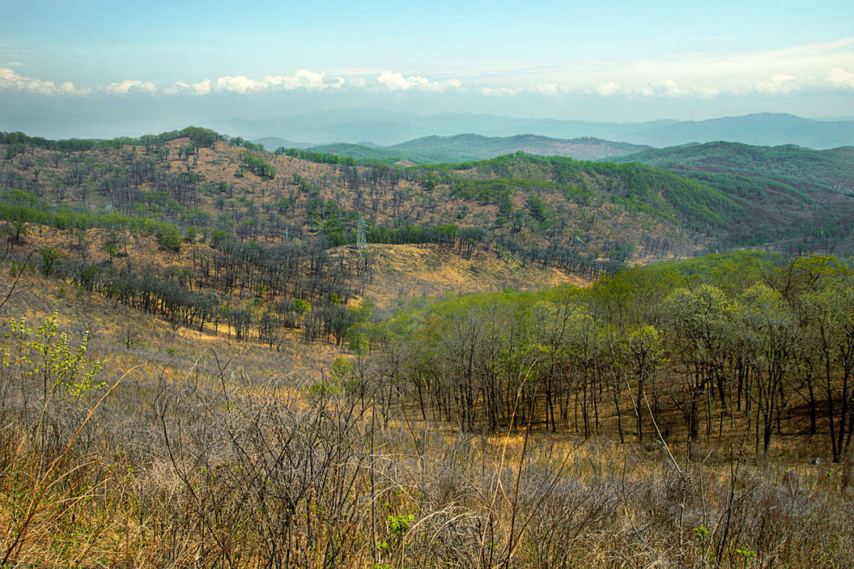 �� ������� ��������� 1 ����� ������� ��������� �� PhotoGeek.ru #������ ��� �������