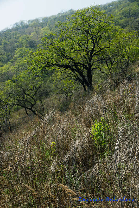 �� ������� ��������� ����� ������� ��������� �� PhotoGeek.ru #������ ��� �������