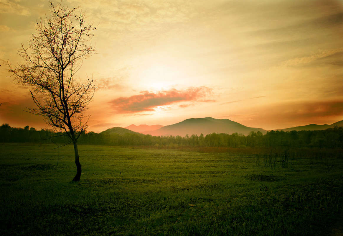 ������ �� �����))) ����� ������� ��������� �� PhotoGeek.ru #������ ��� �������