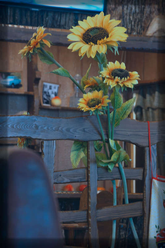 ������ ����� ������� ��������� �� PhotoGeek.ru #�����