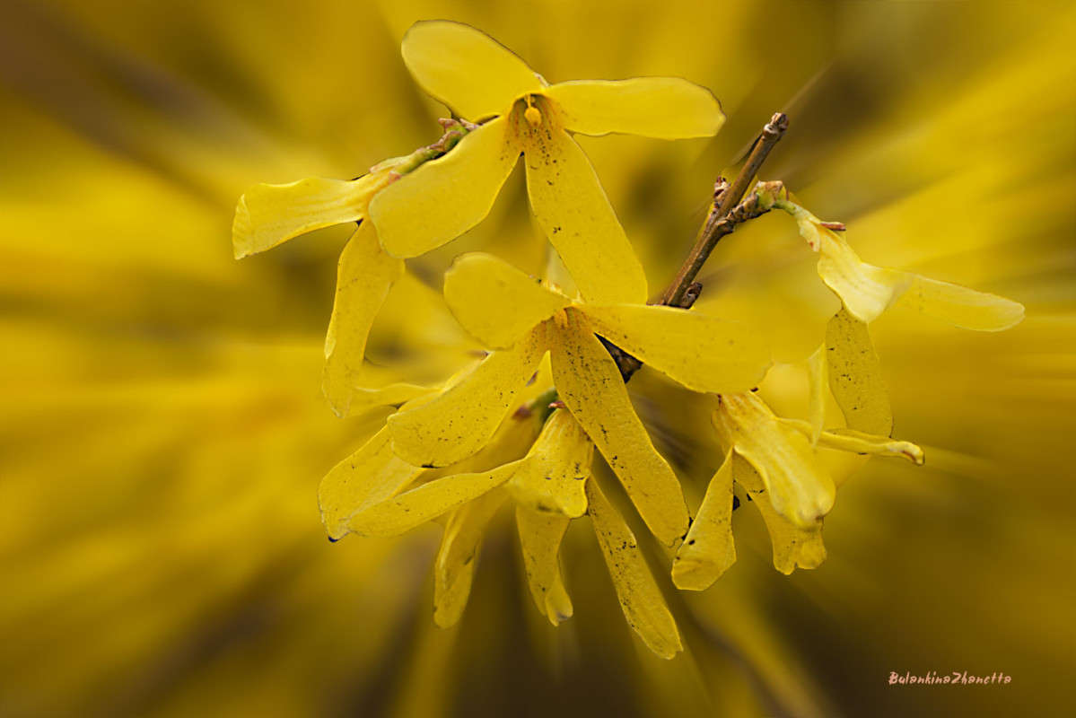 �������� ����� ������� ��������� �� PhotoGeek.ru #������ ��� ������� #����� ��������������