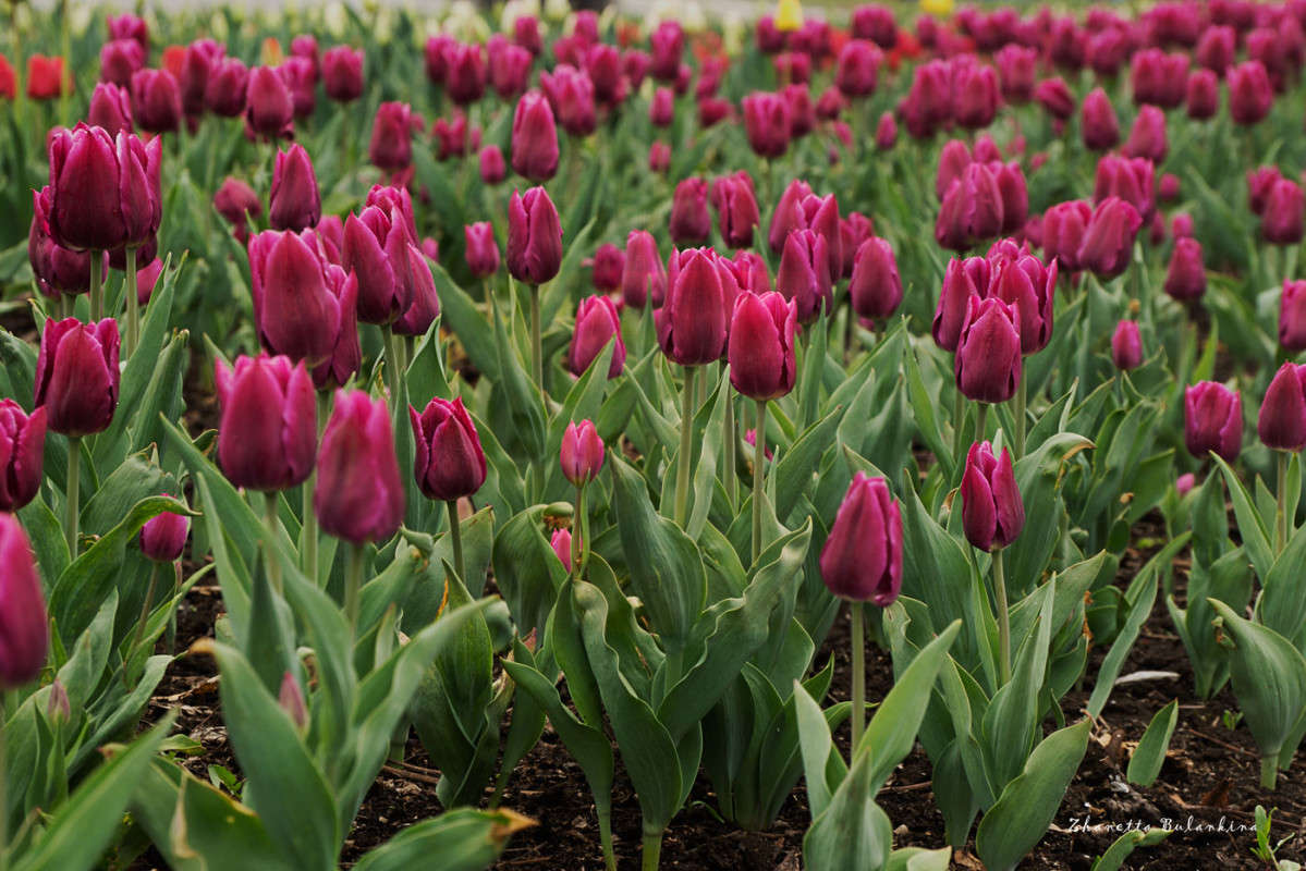 ������ ����� ������� ��������� �� PhotoGeek.ru #������ ��� ������� #����� ��������������