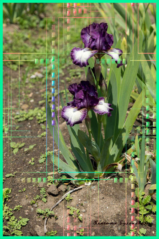 *** ����� ������� ��������� �� PhotoGeek.ru #������ ��� ������� #����� ��������������