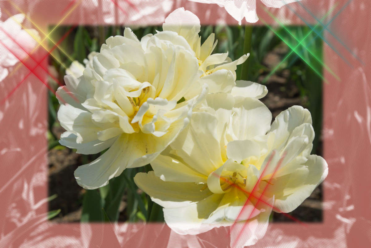 *** ����� ������� ��������� �� PhotoGeek.ru #������ ��� ������� #����� ��������������