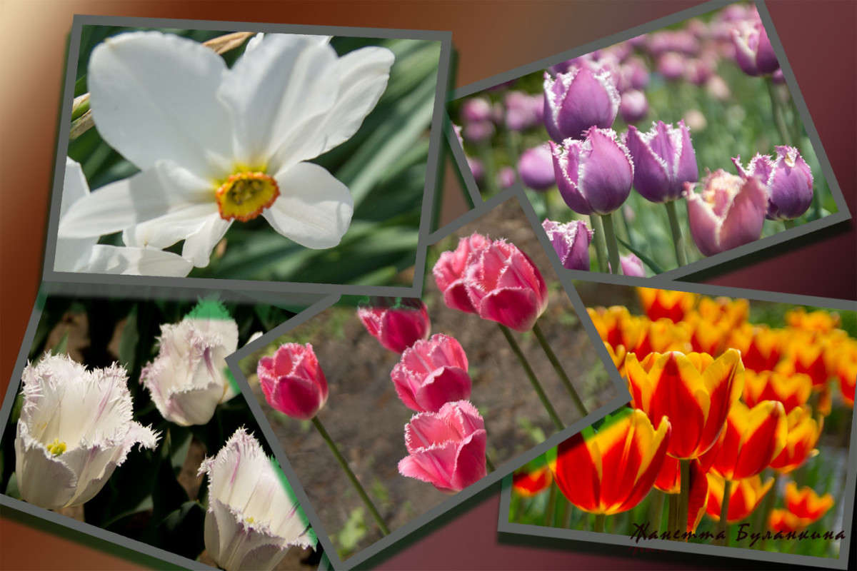 *** ����� ������� ��������� �� PhotoGeek.ru #������ ��� ������� #����� ��������������