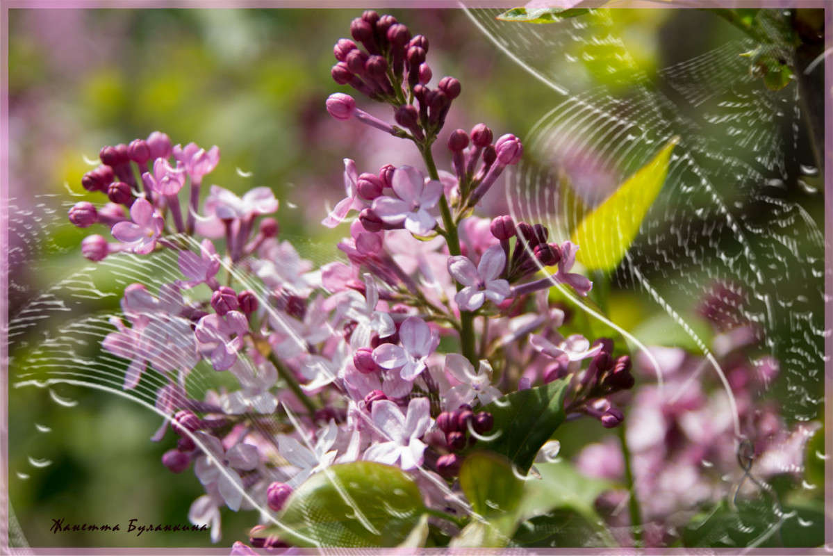 *** ����� ������� ��������� �� PhotoGeek.ru #������ ��� ������� #����� ��������������