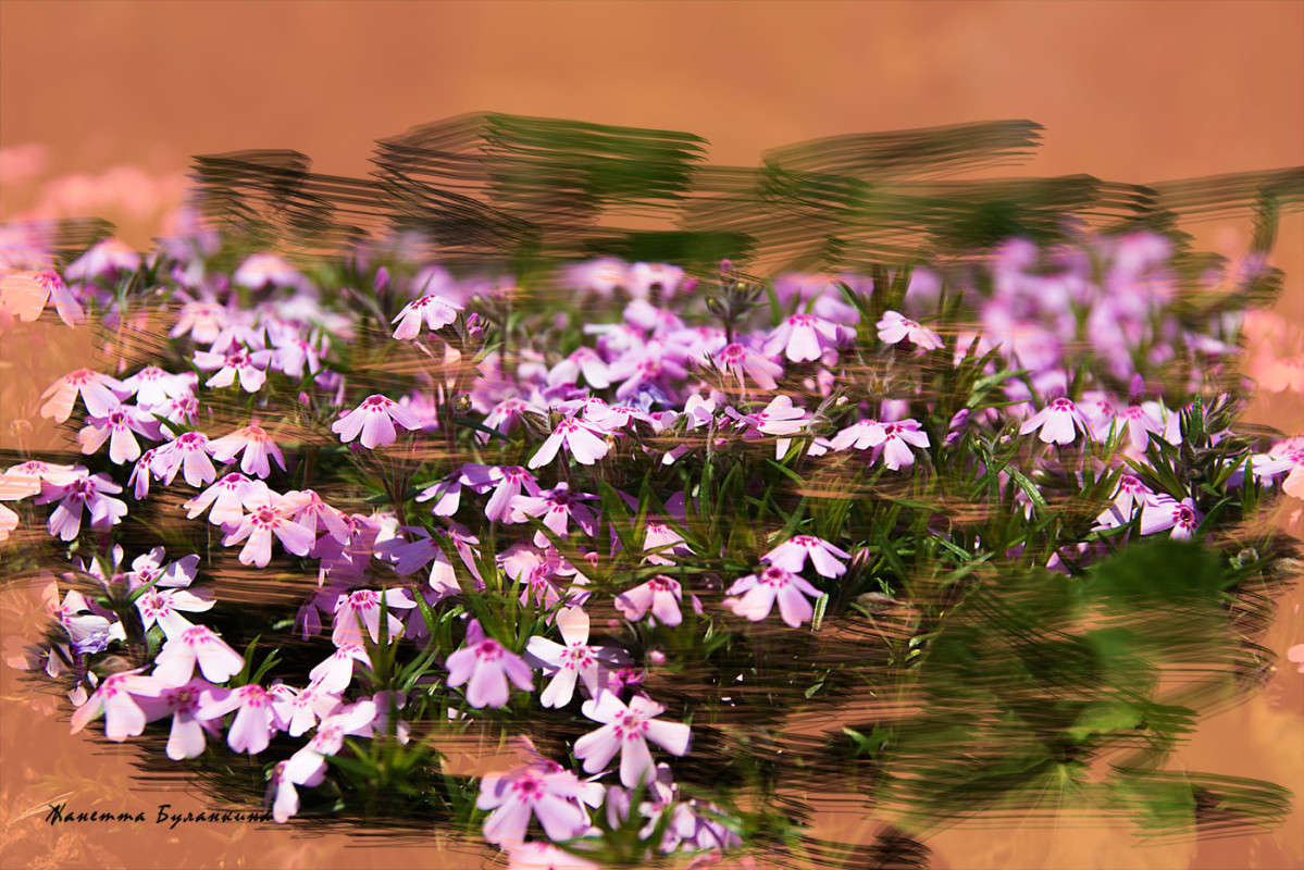 *** ����� ������� ��������� �� PhotoGeek.ru #������ ��� ������� #����� ��������������