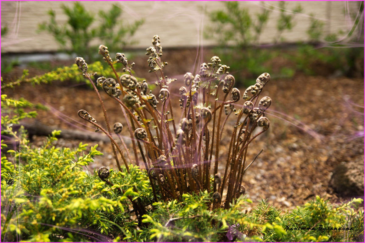 *** ����� ������� ��������� �� PhotoGeek.ru #������ ��� ������� #����� ��������������