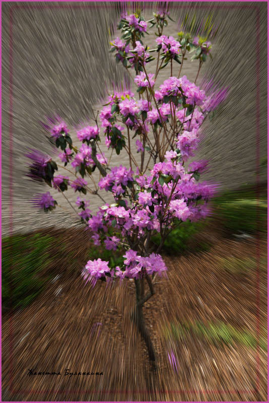 *** ����� ������� ��������� �� PhotoGeek.ru #������ ��� ������� #����� ��������������