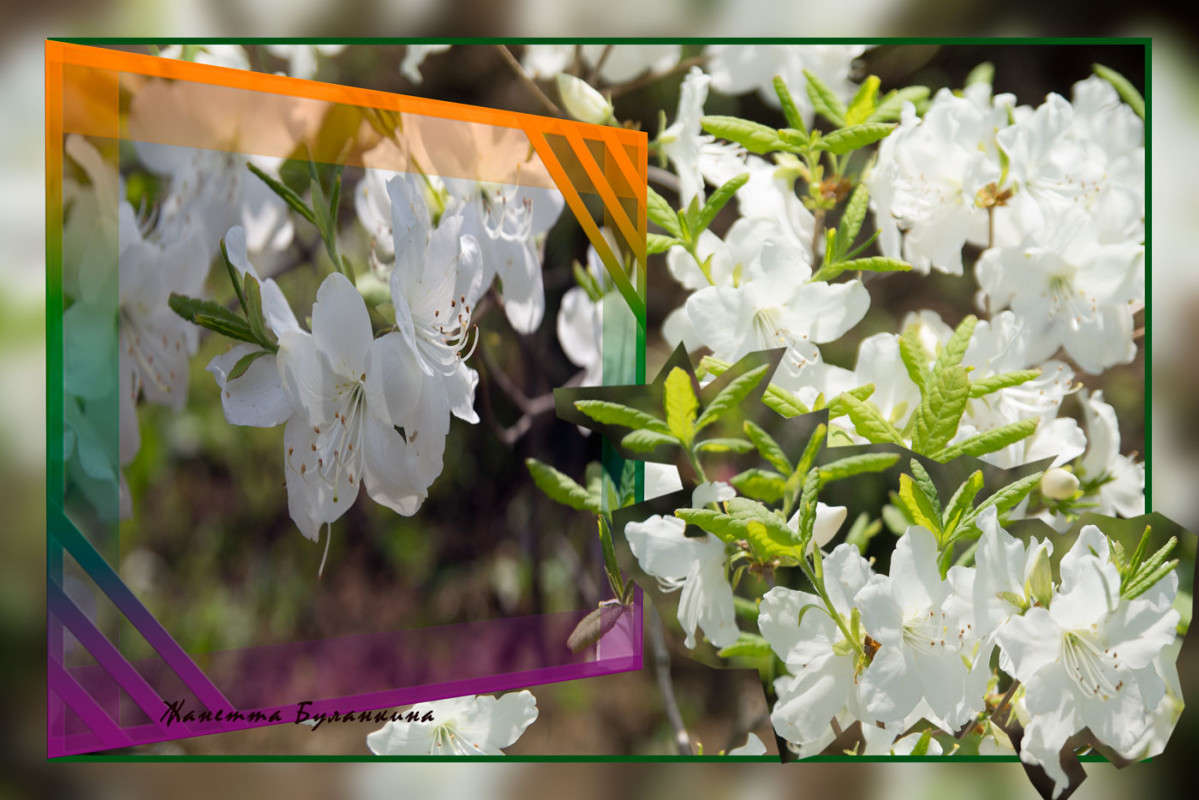 *** ����� ������� ��������� �� PhotoGeek.ru #������ ��� ������� #����� ��������������